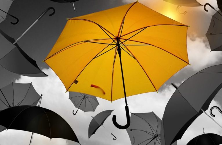 Spotting the Real Pros in a Sea of Fakes: How to Avoid Scams in Sports Betting
